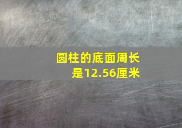 圆柱的底面周长是12.56厘米