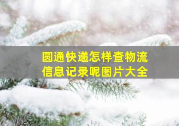 圆通快递怎样查物流信息记录呢图片大全