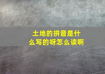 土地的拼音是什么写的呀怎么读啊