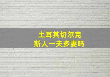 土耳其切尔克斯人一夫多妻吗