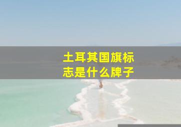 土耳其国旗标志是什么牌子