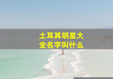 土耳其明星大全名字叫什么