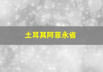 土耳其阿菲永省