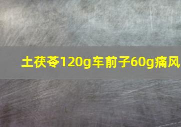 土茯苓120g车前子60g痛风