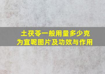 土茯苓一般用量多少克为宜呢图片及功效与作用