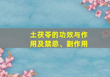 土茯苓的功效与作用及禁忌、副作用