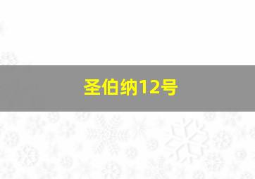 圣伯纳12号