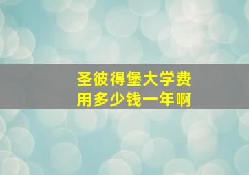 圣彼得堡大学费用多少钱一年啊