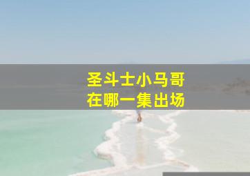 圣斗士小马哥在哪一集出场