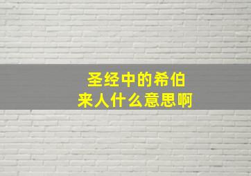 圣经中的希伯来人什么意思啊