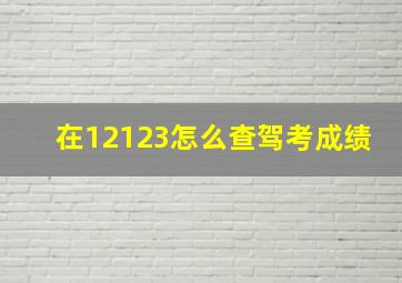 在12123怎么查驾考成绩