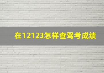 在12123怎样查驾考成绩