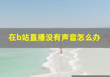 在b站直播没有声音怎么办