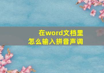 在word文档里怎么输入拼音声调