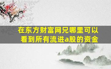 在东方财富网兄哪里可以看到所有流进a股的资金