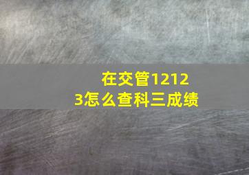 在交管12123怎么查科三成绩