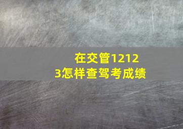 在交管12123怎样查驾考成绩