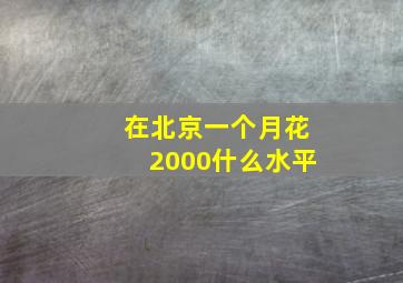 在北京一个月花2000什么水平