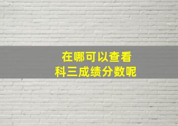 在哪可以查看科三成绩分数呢