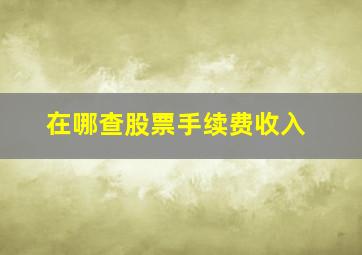 在哪查股票手续费收入