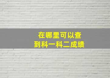 在哪里可以查到科一科二成绩