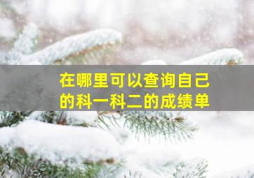 在哪里可以查询自己的科一科二的成绩单