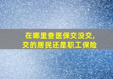 在哪里查医保交没交,交的居民还是职工保险