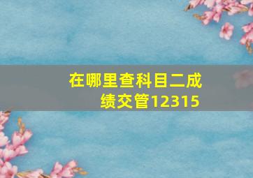 在哪里查科目二成绩交管12315