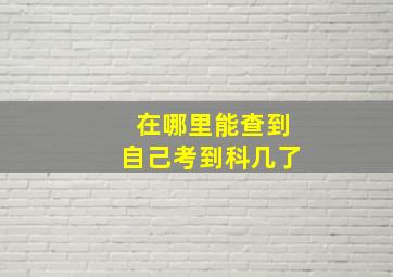 在哪里能查到自己考到科几了