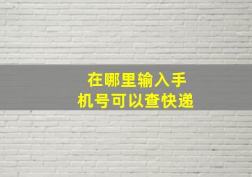 在哪里输入手机号可以查快递