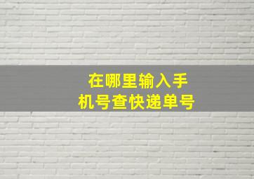 在哪里输入手机号查快递单号