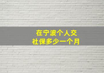 在宁波个人交社保多少一个月