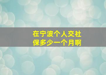 在宁波个人交社保多少一个月啊