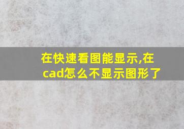 在快速看图能显示,在cad怎么不显示图形了