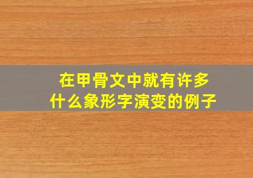 在甲骨文中就有许多什么象形字演变的例子