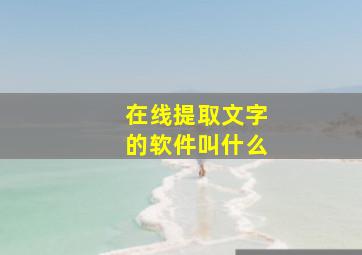 在线提取文字的软件叫什么