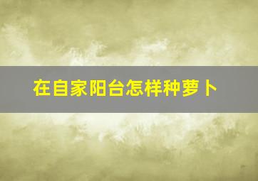 在自家阳台怎样种萝卜