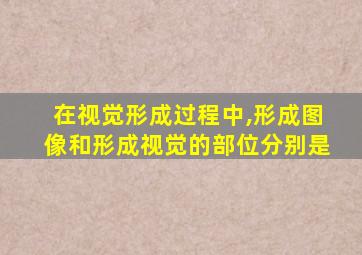 在视觉形成过程中,形成图像和形成视觉的部位分别是