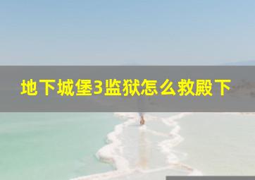 地下城堡3监狱怎么救殿下