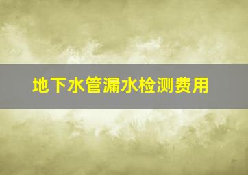 地下水管漏水检测费用