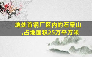 地处首钢厂区内的石景山,占地面积25万平方米