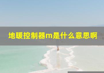 地暖控制器m是什么意思啊