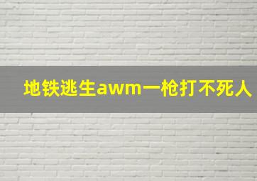 地铁逃生awm一枪打不死人