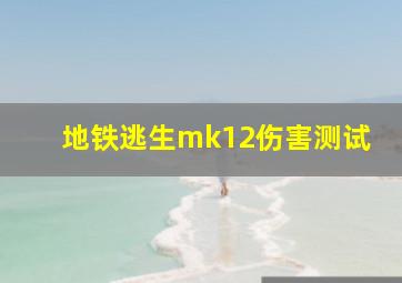 地铁逃生mk12伤害测试