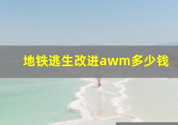 地铁逃生改进awm多少钱