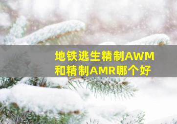 地铁逃生精制AWM和精制AMR哪个好