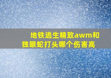 地铁逃生精致awm和独眼蛇打头哪个伤害高