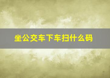 坐公交车下车扫什么码