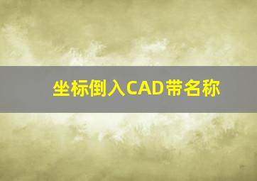 坐标倒入CAD带名称