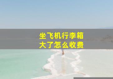 坐飞机行李箱大了怎么收费